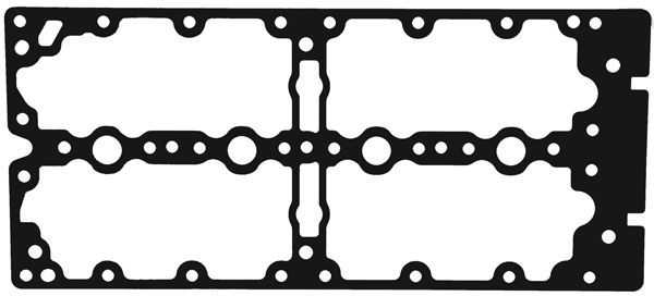 Sealing Gasket